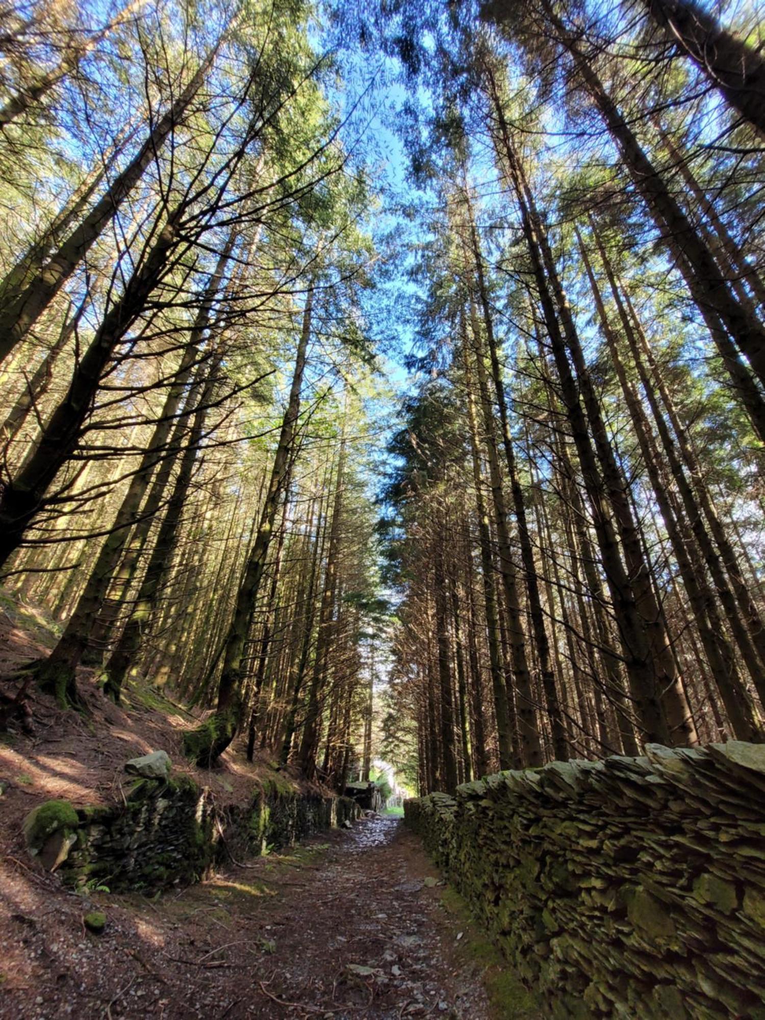 The Granary Corris On The Edge Of The Dyfi Forest Exteriér fotografie