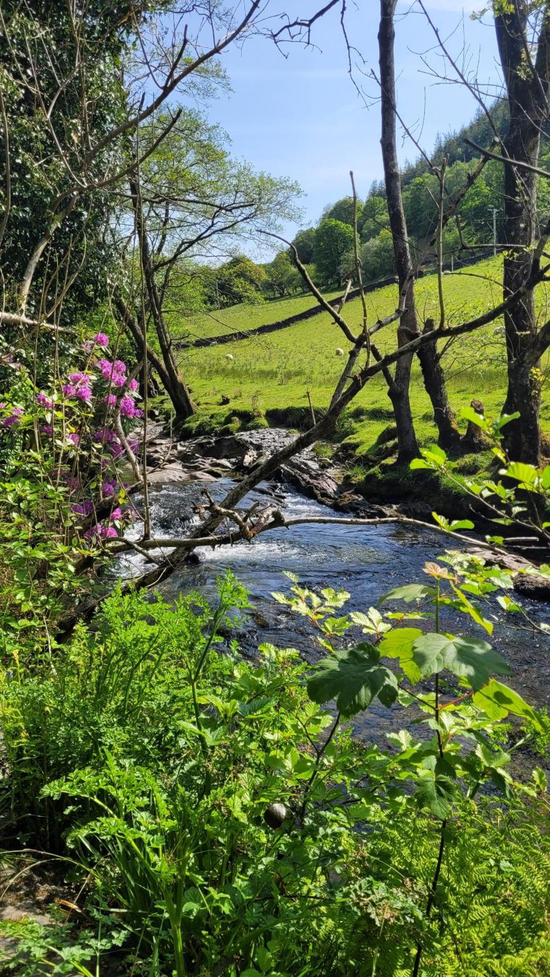 The Granary Corris On The Edge Of The Dyfi Forest Exteriér fotografie