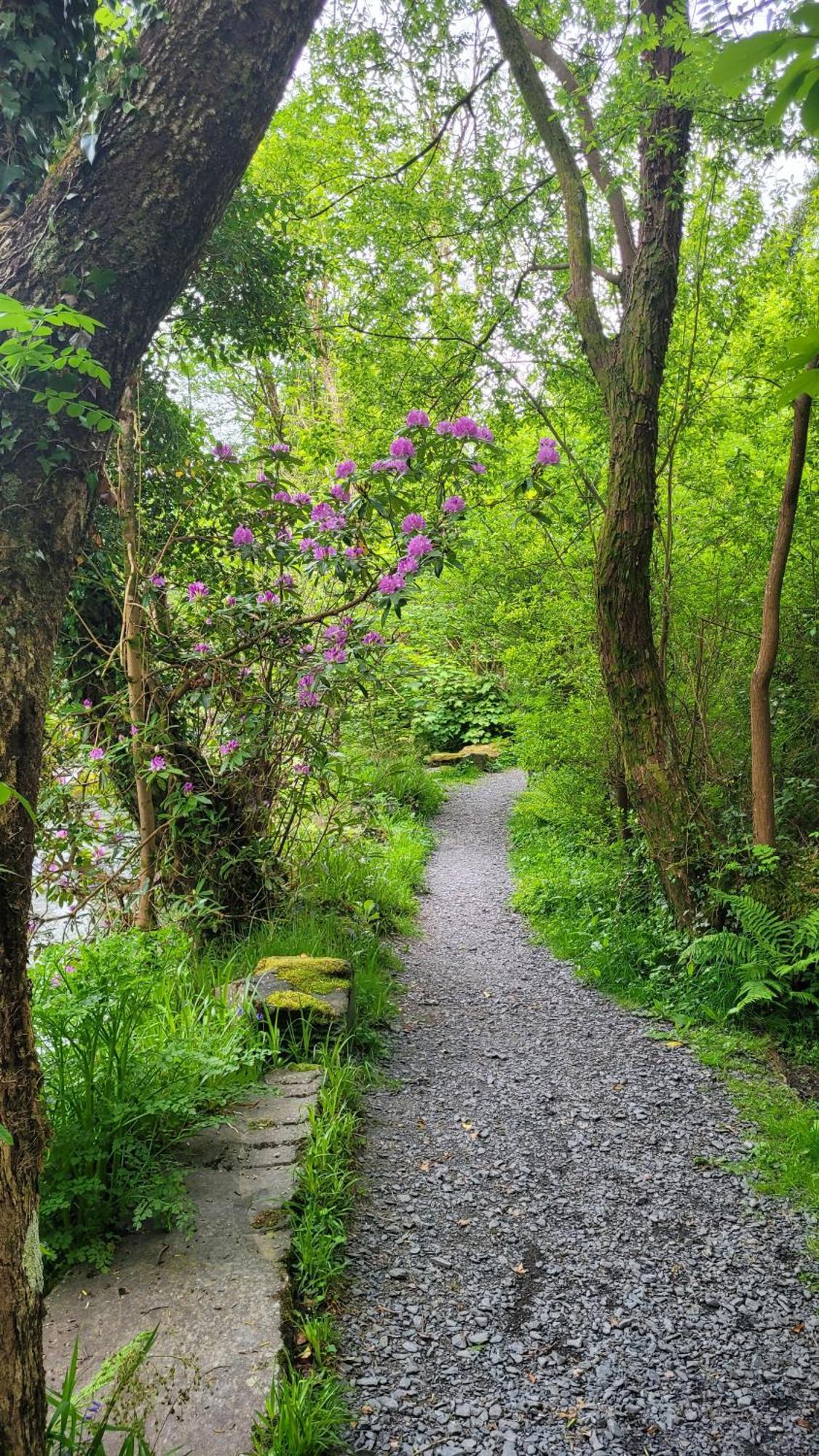 The Granary Corris On The Edge Of The Dyfi Forest Exteriér fotografie