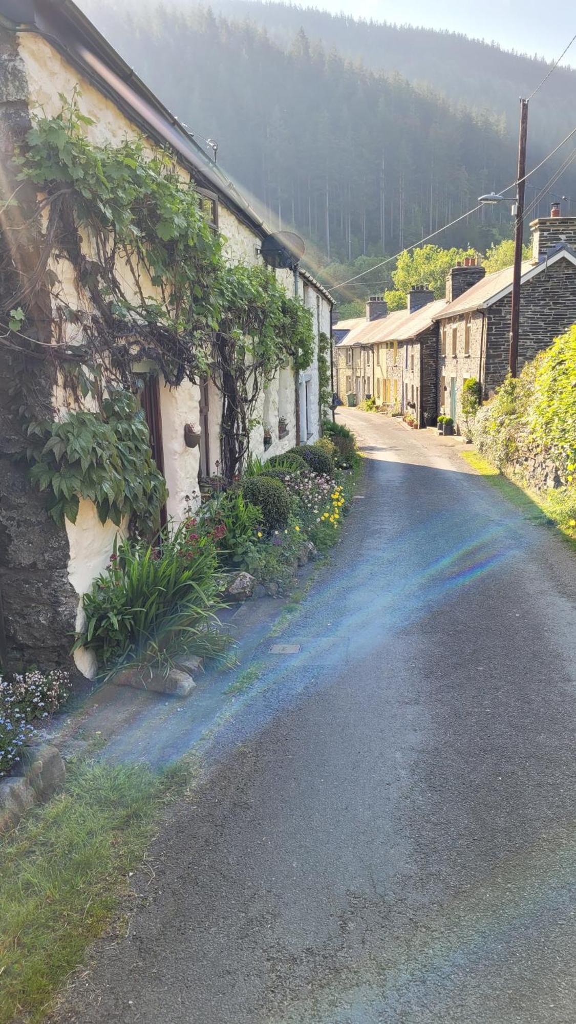 The Granary Corris On The Edge Of The Dyfi Forest Exteriér fotografie